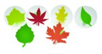 Mega-Stempel-Set Herbstblätter 2
